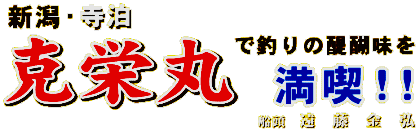 V̒ޑD|hہ|NbNōXV
